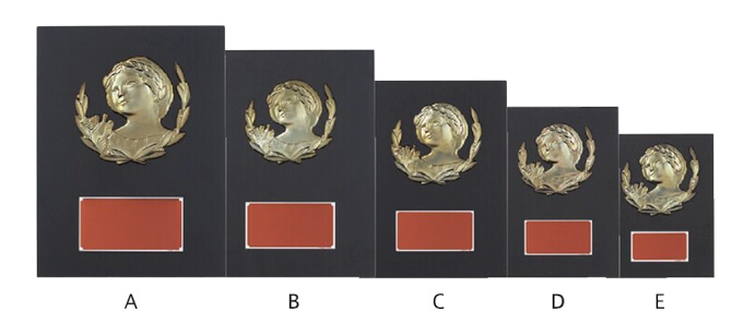 定番ロングセラー木製記念盾【表彰記念楯】 DVS5206シリーズ（サイズ