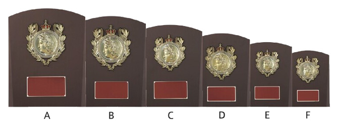 定番ロングセラー木製記念盾【表彰記念楯】 DVS5126シリーズ（サイズ