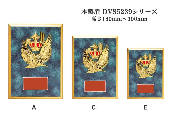木製記念盾【表彰記念楯】 DVS5239シリーズ（サイズ：高さ180mm～300mm