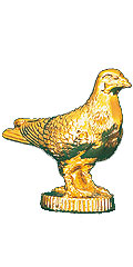 伝書鳩