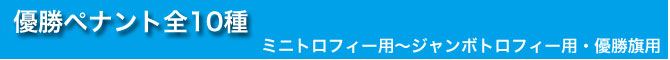 トロフィー用・優勝旗用ペナント