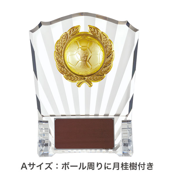 半立体ボール付き樹脂製盾VSX5548