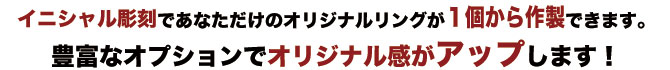 チャンピオンVリング簡略説明