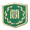 Vマーク_賞
