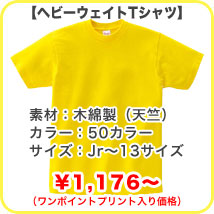 ��50���顼��13��������˭�٤ʥ饤��ʥåפΥإӡ���������T�����
